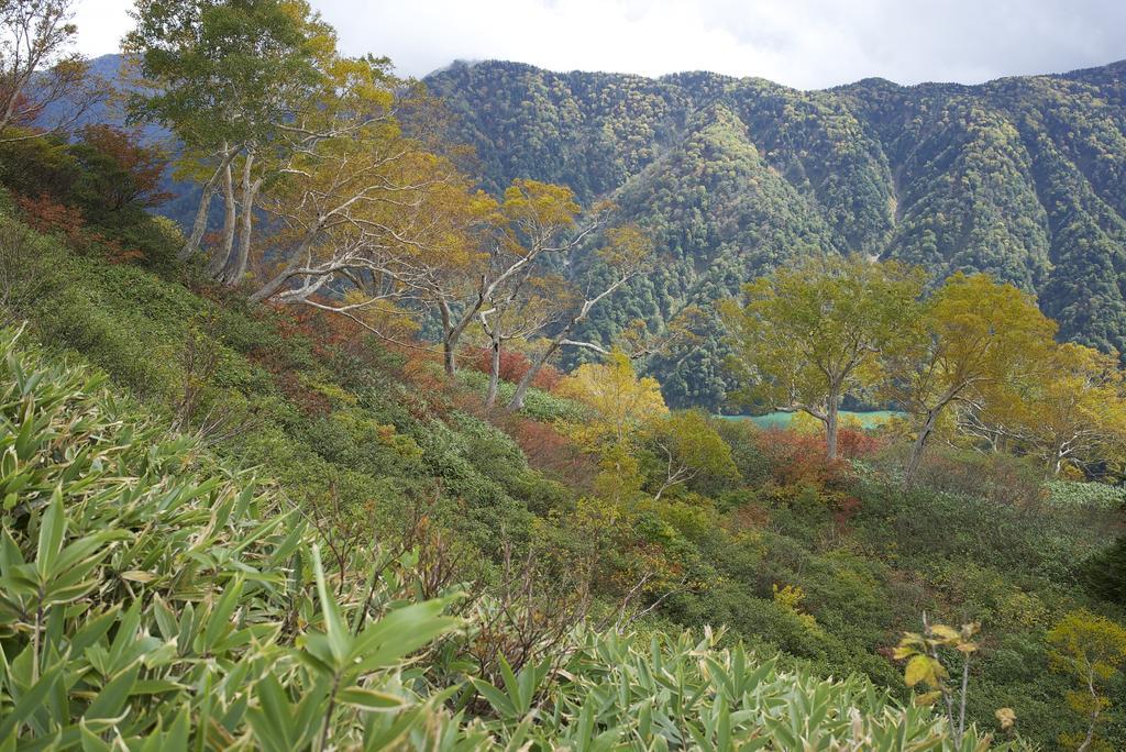 Anthut Guest house Shirakawa (Gifu)